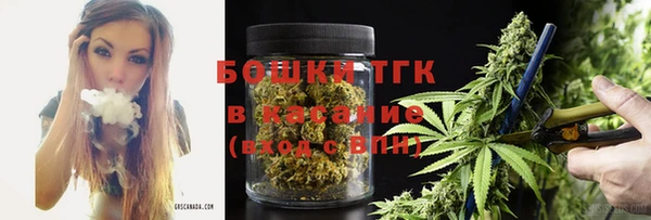 ГАЛЛЮЦИНОГЕННЫЕ ГРИБЫ Аркадак