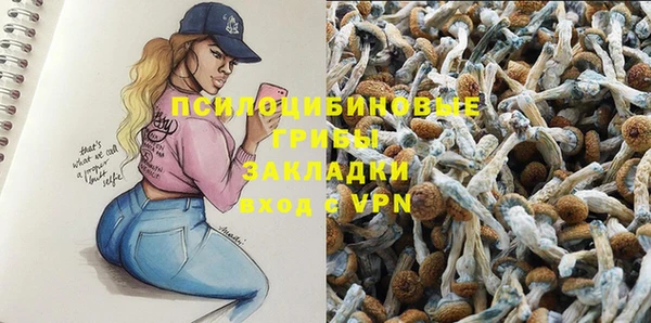 дмт Армянск