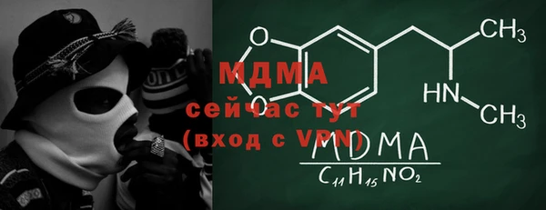ГАЛЛЮЦИНОГЕННЫЕ ГРИБЫ Аркадак