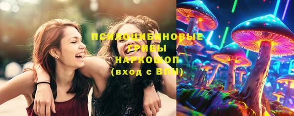 дмт Армянск