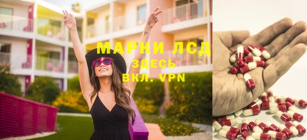 ГАЛЛЮЦИНОГЕННЫЕ ГРИБЫ Аркадак