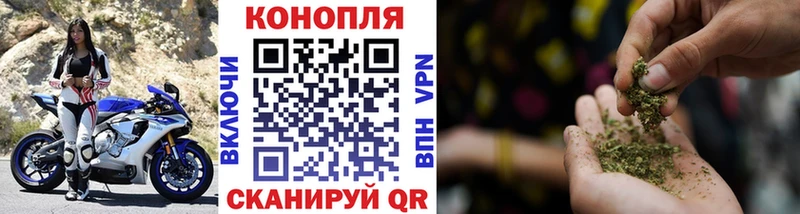 Марихуана план дарнет шоп Хотьково